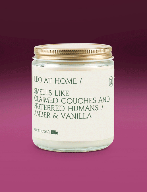 Anecdote&Ollie Cozy Custom Candle - Anecdote Candles